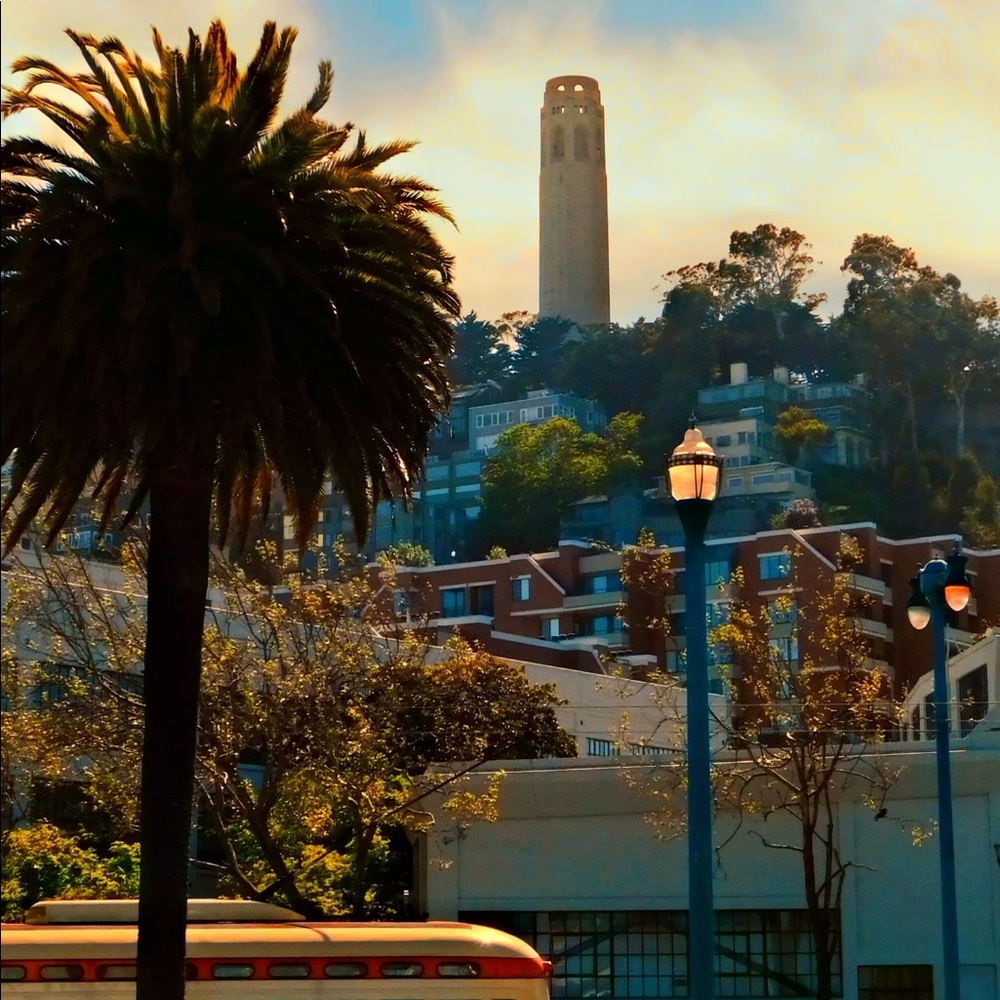 Ꭾosh Ꭿmbassador, Fe ✌🏼